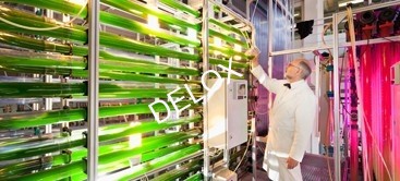 德璐氏软管 德璐氏软管